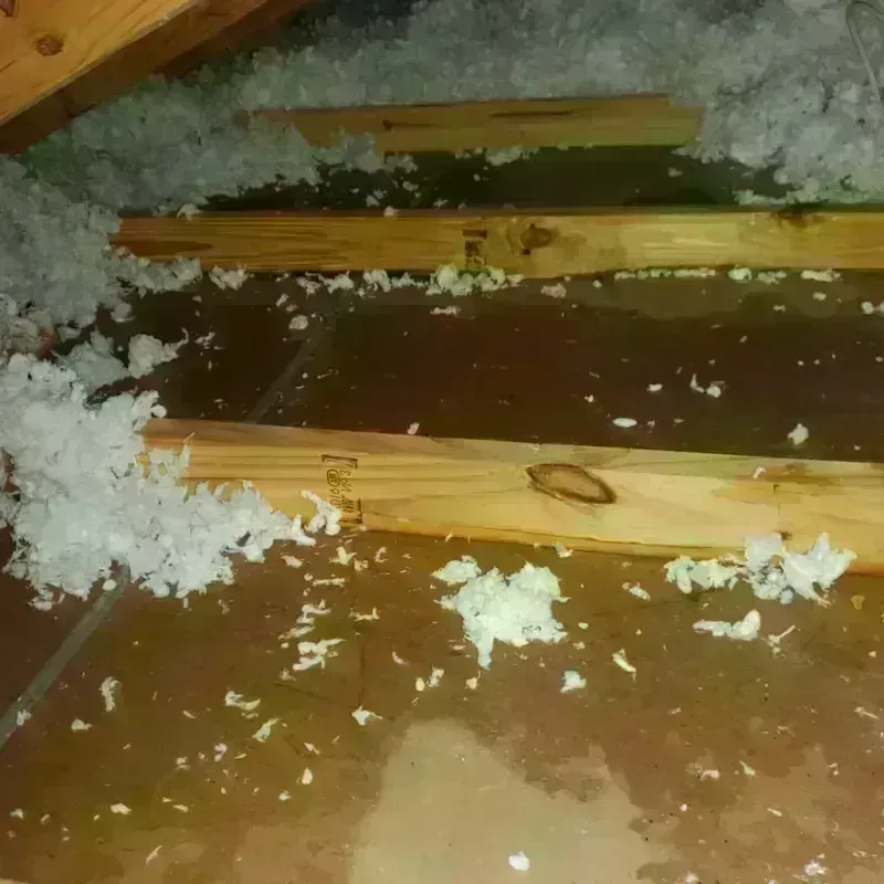 Attic Water Damage in Westfield Center, OH